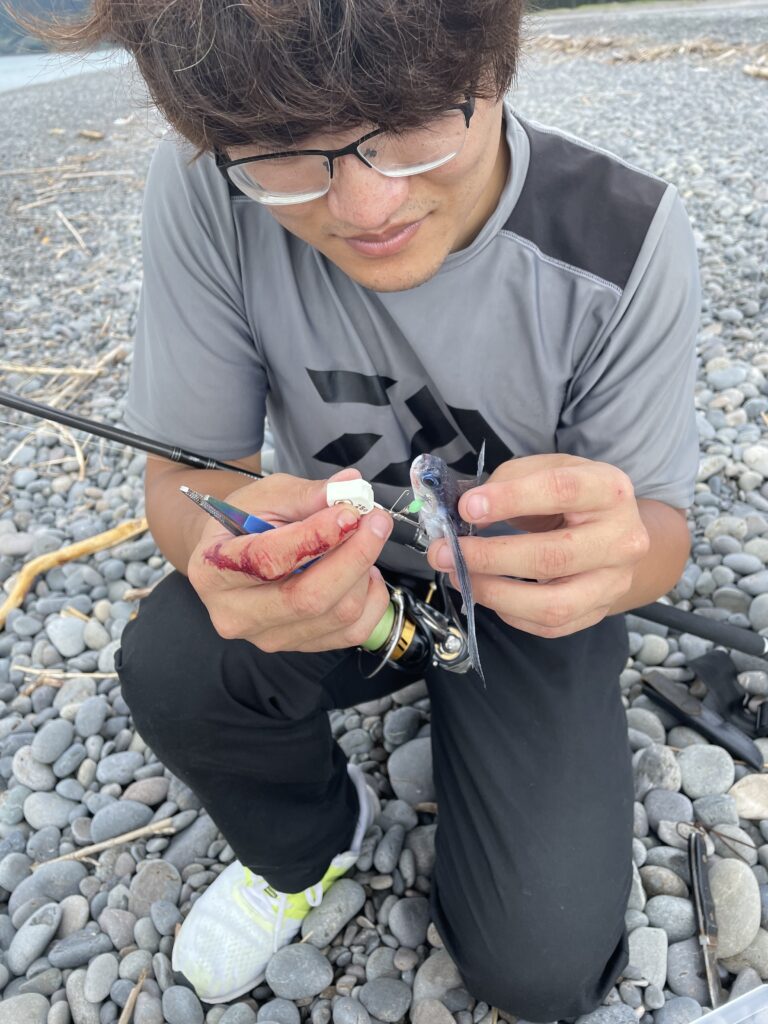 煙樹ヶ浜　とびうお