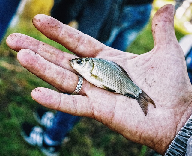 fishing